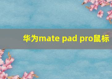 华为mate pad pro鼠标